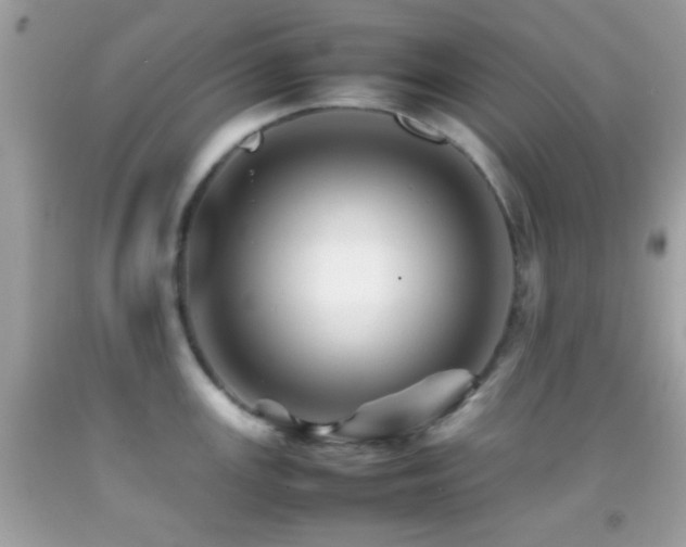 X0000092071147200709121411