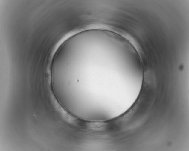 X0000092071150200709121411