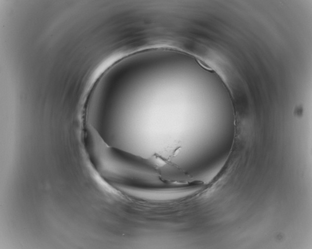 X0000092071151200709121411