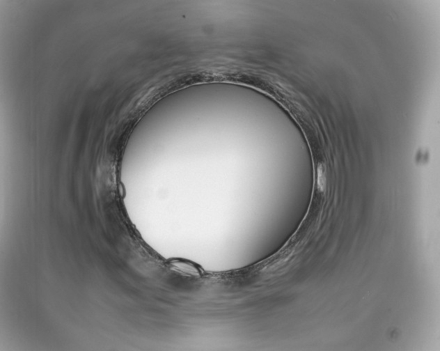 X0000092071155200709121410