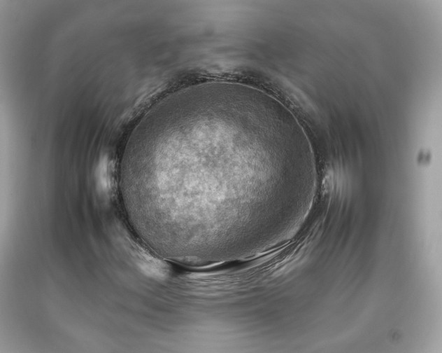 X0000092071156200709121410