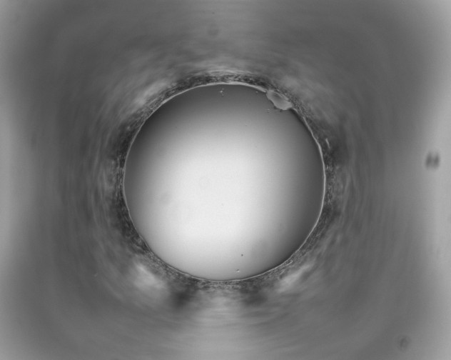 X0000092071157200709121410