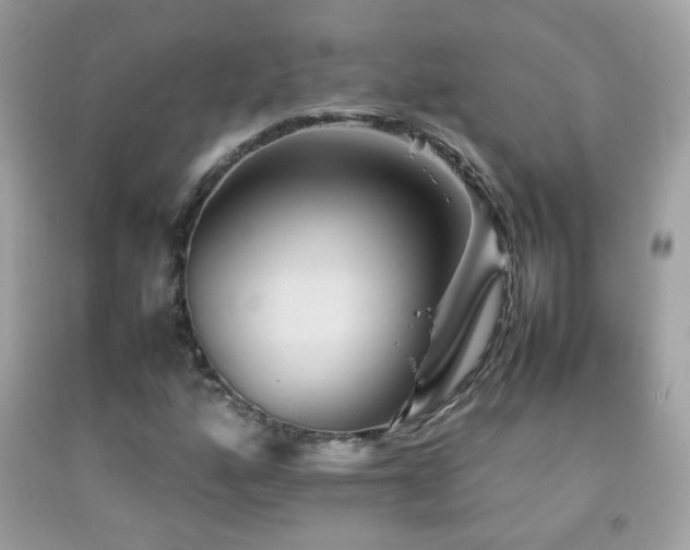 X0000092071160200709121410
