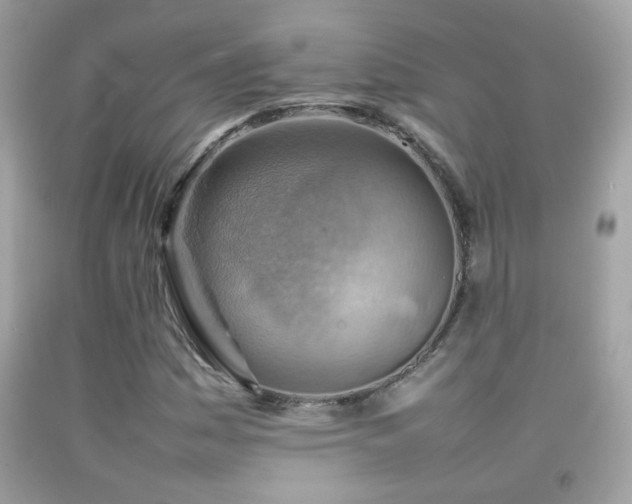 X0000092071161200709121410