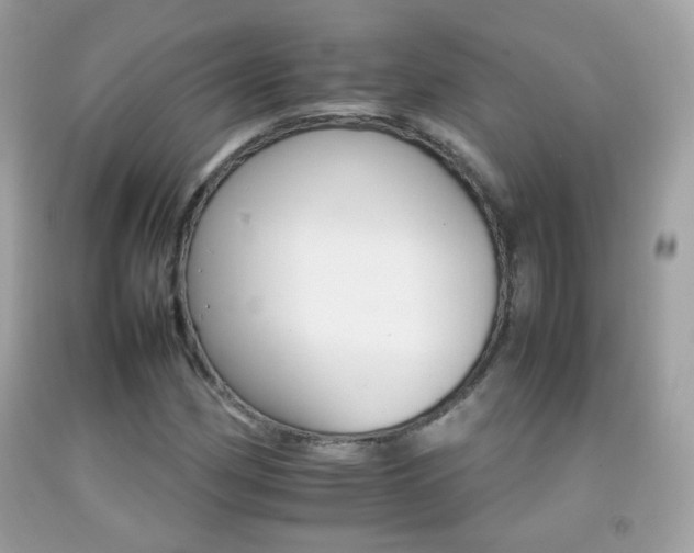 X0000092071162200709121410