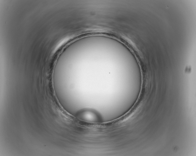X0000092071163200709121410