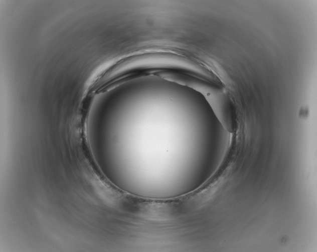 X0000092071164200709121410