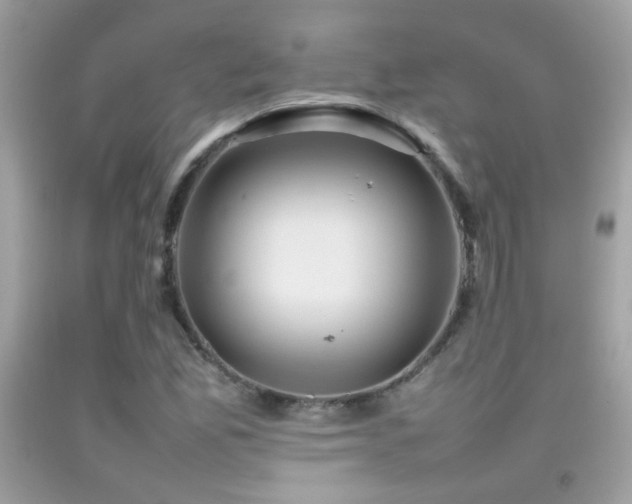 X0000092071165200709121410