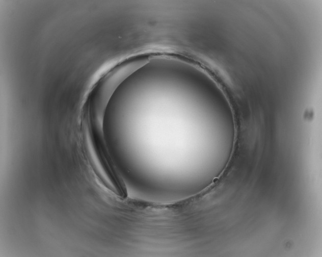 X0000092071168200709121410