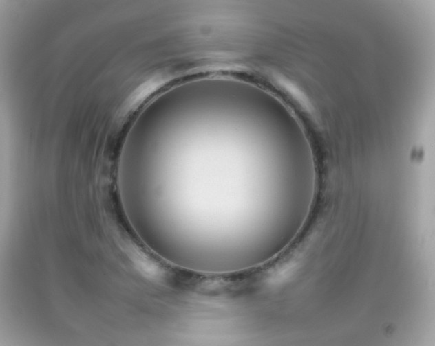 X0000092071169200709121410