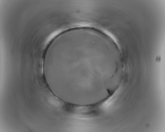 X0000092071171200709121410