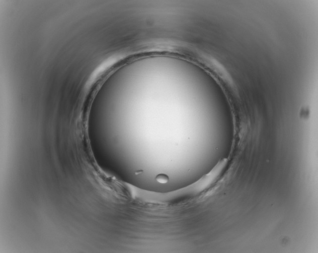 X0000092071172200709121410