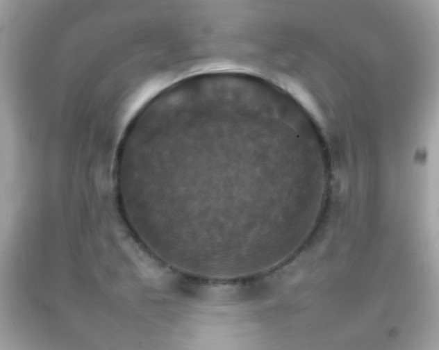 X0000092071173200709121410