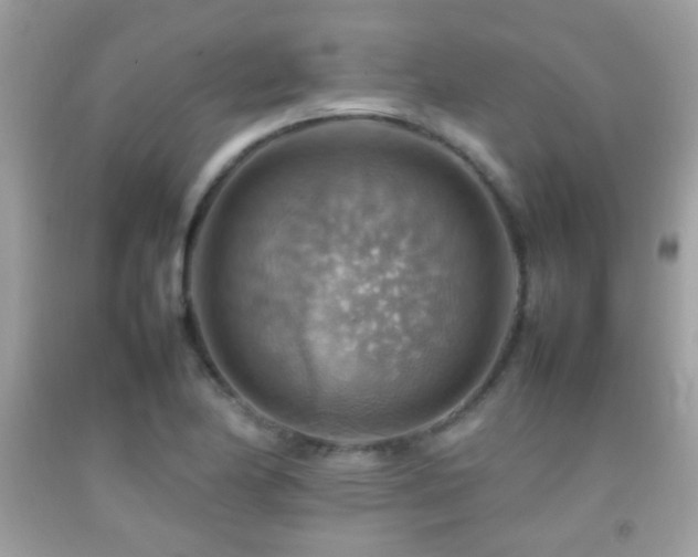 X0000092071174200709121410