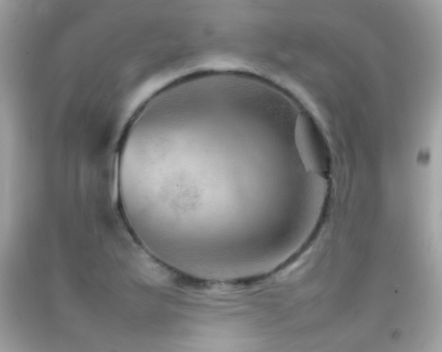 X0000092071175200709121410