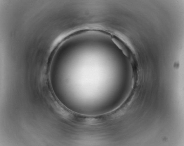 X0000092071176200709121410