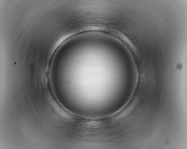 X0000092071178200709121410