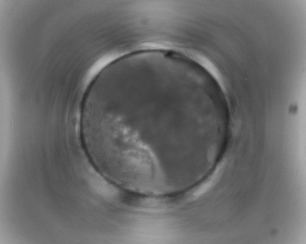X0000092071179200709121410