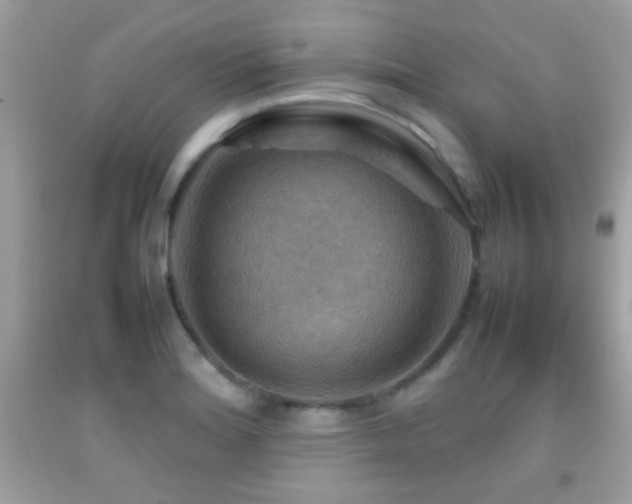 X0000092071180200709121410