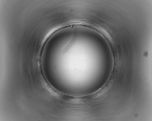 X0000092071182200709121410