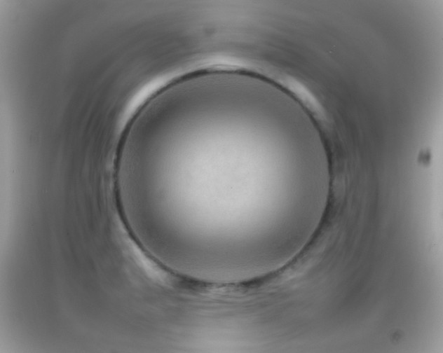 X0000092071183200709121410