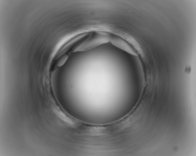 X0000092071184200709121410