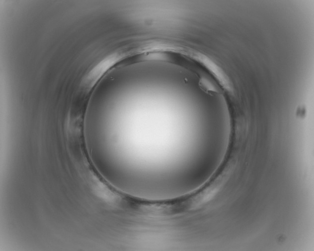 X0000092071185200709121410