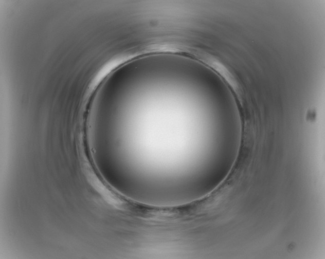X0000092071187200709121410