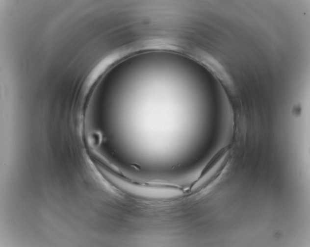 X0000092071188200709121410