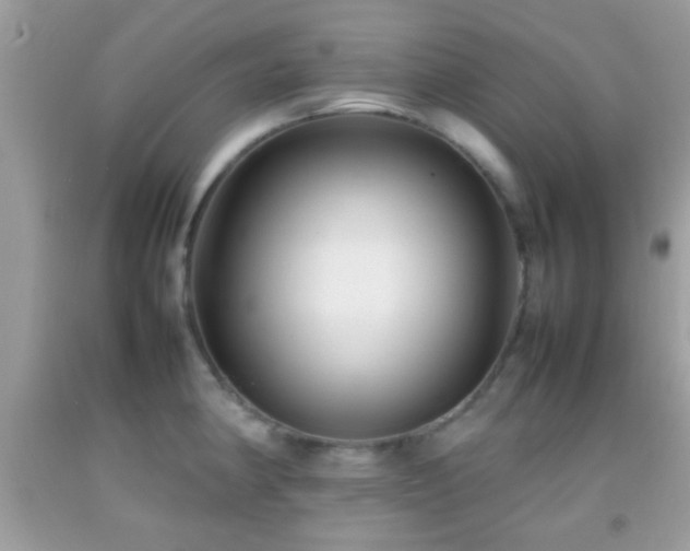 X0000092071190200709121410