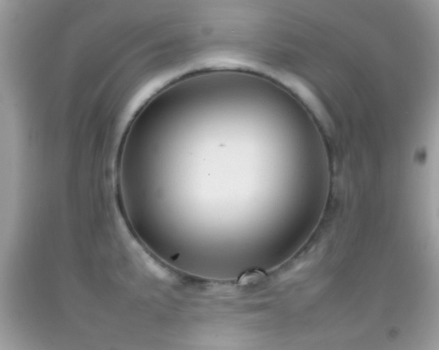 X0000092071191200709121410