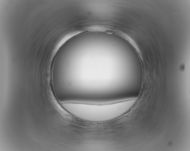 X0000092071195200709121410