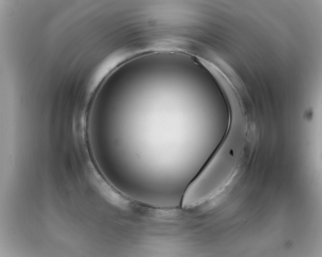 X0000092071196200709121410