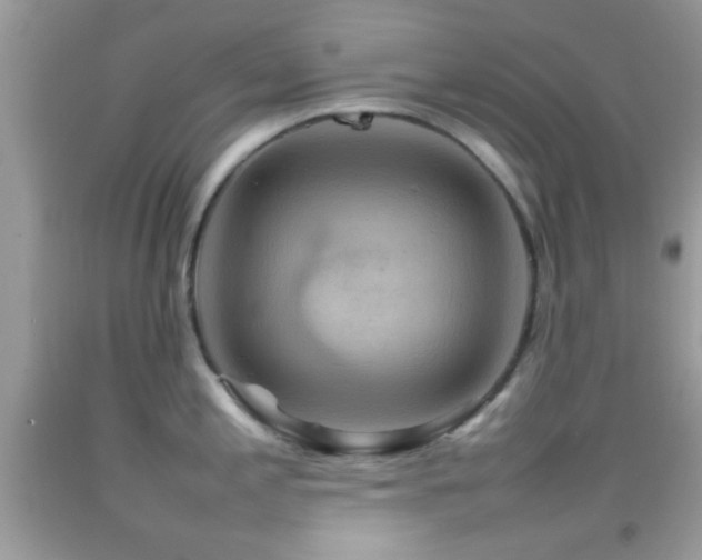 X0000092071197200709121410