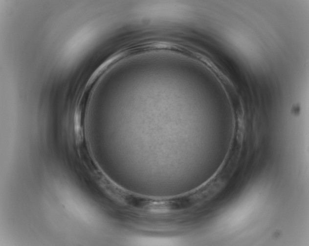 X0000092071198200709121410