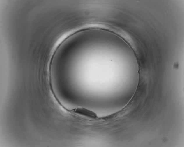 X0000092071199200709121410