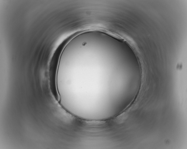 X0000092071200200709121410