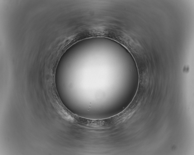 X0000092071201200709121409