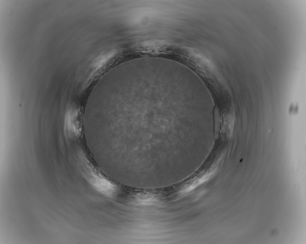 X0000092071202200709121409