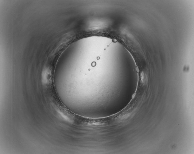 X0000092071203200709121409
