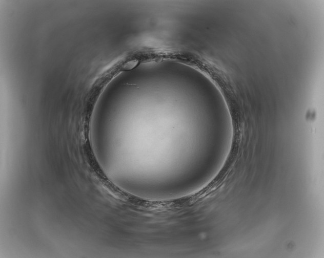 X0000092071205200709121409