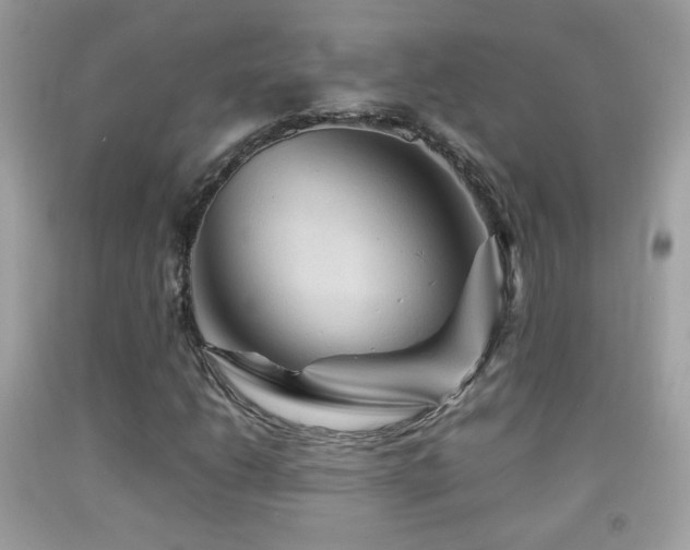 X0000092071206200709121409