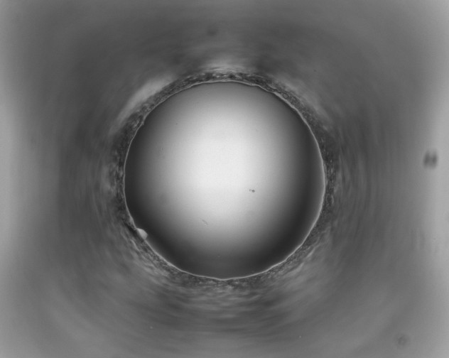 X0000092071207200709121409