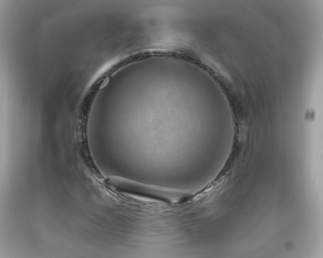 X0000092071208200709121409