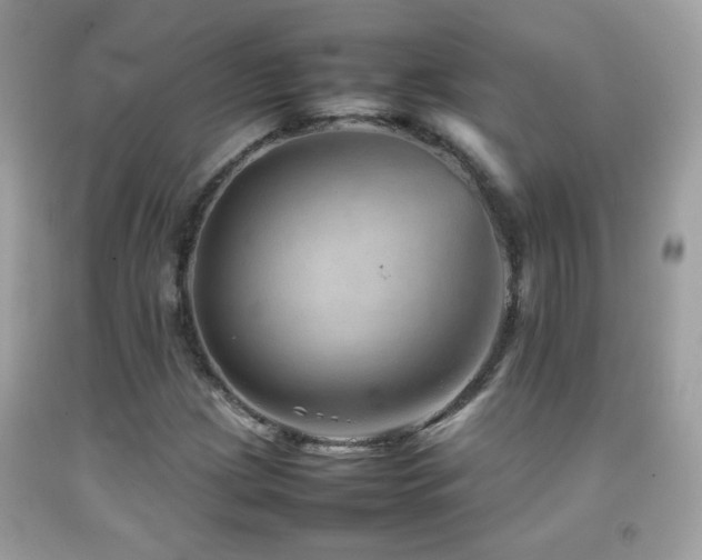 X0000092071209200709121409