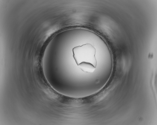 X0000092071210200709121409