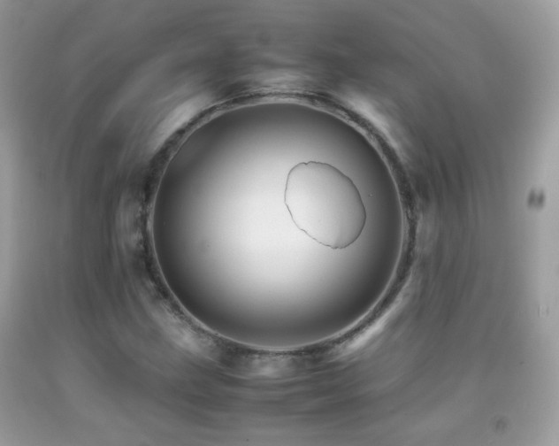 X0000092071211200709121409