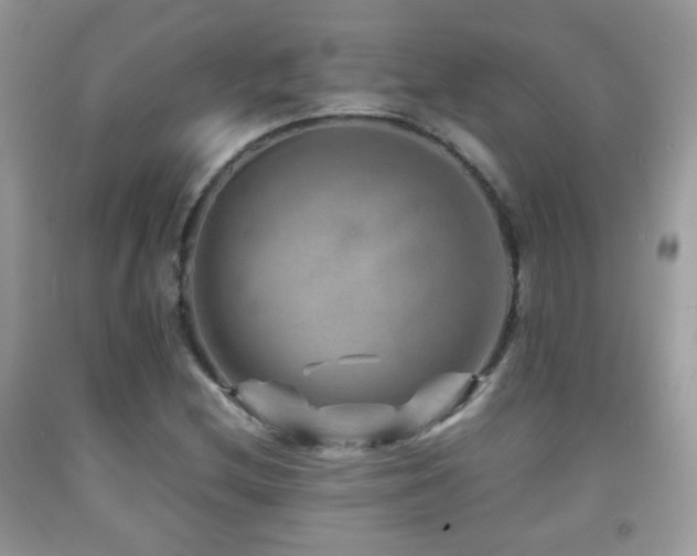 X0000092071212200709121409