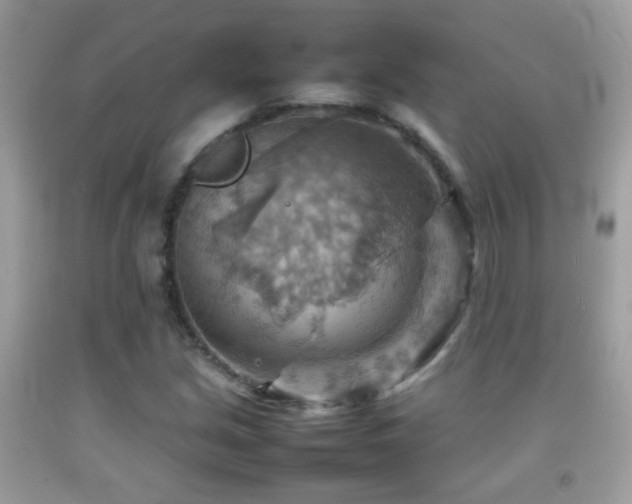 X0000092071213200709121409