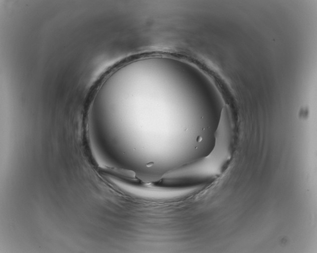 X0000092071214200709121409